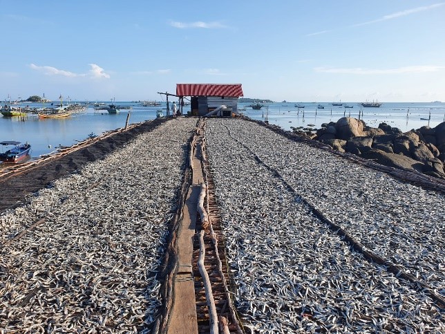DESA NELAYAN TANJUNG BINGA : SENTRAL IKAN ASIN  DI PULAU BELITUNG