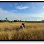 HIDDEN GEM  BELITUNG. Yang Wajib Dikunjungi  saat Libur Lebaran