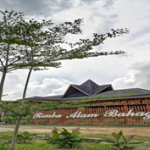 Rimba Alam Bahagia Saat Alam Mengajarkan Cinta