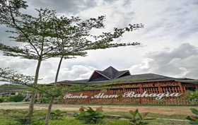 Rimba Alam Bahagia Saat Alam Mengajarkan Cinta